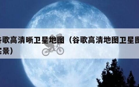 谷歌高清晰卫星地图（谷歌高清地图卫星图 实景）