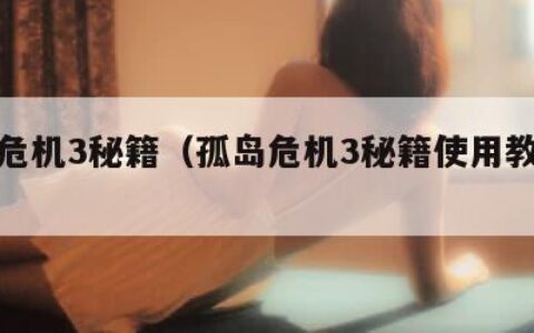 孤岛危机3秘籍（孤岛危机3秘籍使用教程视频）