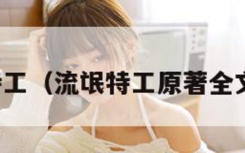 流氓特工（流氓特工原著全文阅读）
