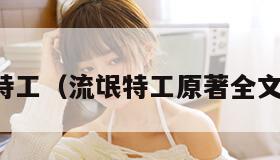 流氓特工（流氓特工原著全文阅读）