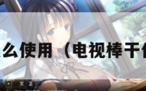 电视棒怎么使用（电视棒干什么用的）