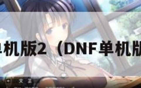 dnf单机版2（DNF单机版200）