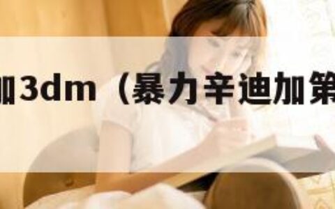 暴力辛迪加3dm（暴力辛迪加第一季 电视剧）