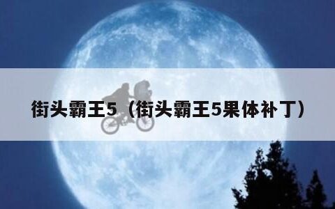 街头霸王5（街头霸王5果体补丁）