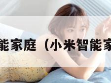 小米智能家庭（小米智能家庭屏6）