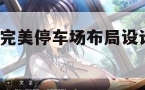 完美停车3（完美停车场布局设计里的数学规律手抄报）
