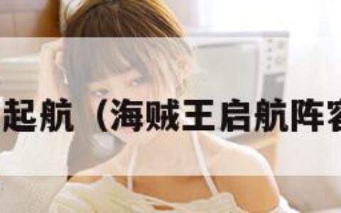 海贼王起航（海贼王启航阵容推荐）