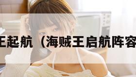 海贼王起航（海贼王启航阵容推荐）