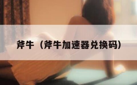 斧牛（斧牛加速器兑换码）