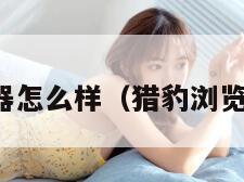猎豹浏览器怎么样（猎豹浏览器浏览器）