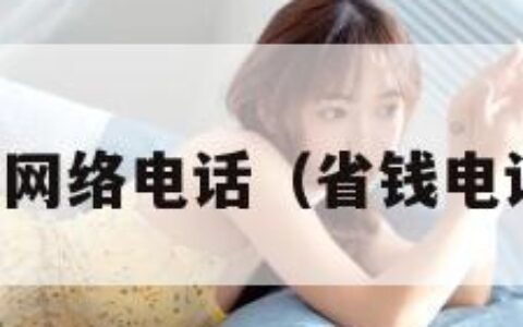 省钱王网络电话（省钱电话下载）
