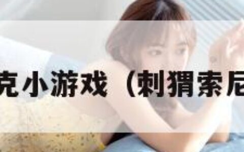 刺猬索尼克小游戏（刺猬索尼克游戏2）