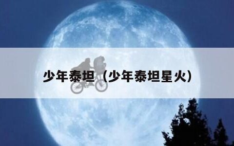 少年泰坦（少年泰坦星火）