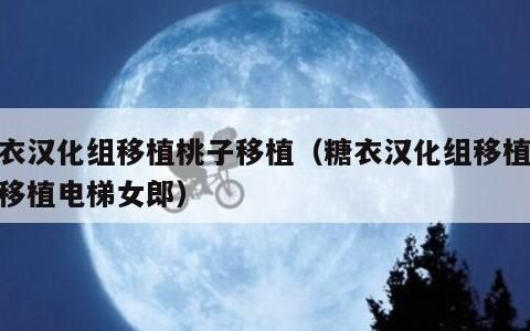 糖衣汉化组移植桃子移植（糖衣汉化组移植桃子移植电梯女郎）