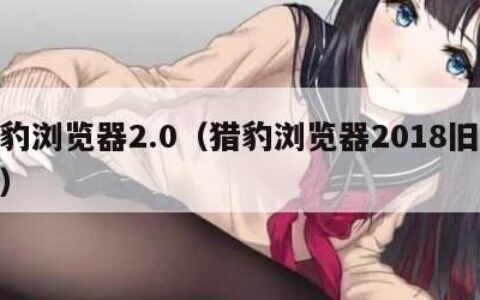 猎豹浏览器2.0（猎豹浏览器2018旧版本）