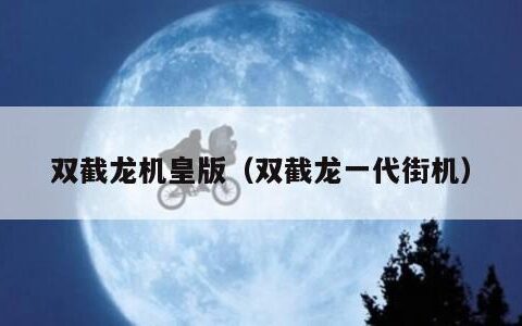 双截龙机皇版（双截龙一代街机）