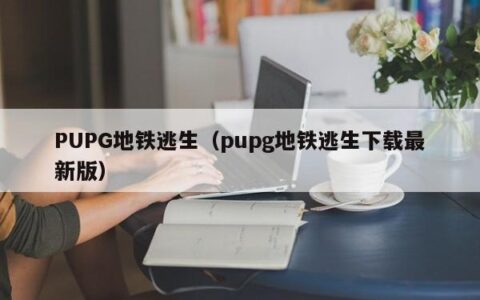 PUPG地铁逃生（pupg地铁逃生下载最新版）
