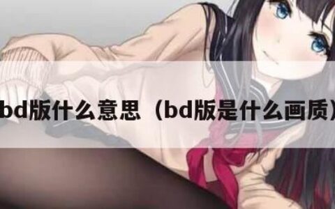 bd版什么意思（bd版是什么画质）